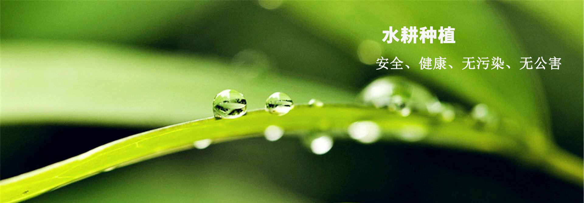 &#38134;&#27827;&#28216;&#25103;&#24179;&#21488;&#97;&#112;&#112;&#40;&#23448;&#26041;&#32593;&#31449;&#41;&#32;&#45;&#32;&#65;&#80;&#80;&#19979;&#36733;&#73;&#79;&#83;&#47;&#23433;&#21331;&#47;&#20840;&#31449;&#36890;&#29992;&#29256;