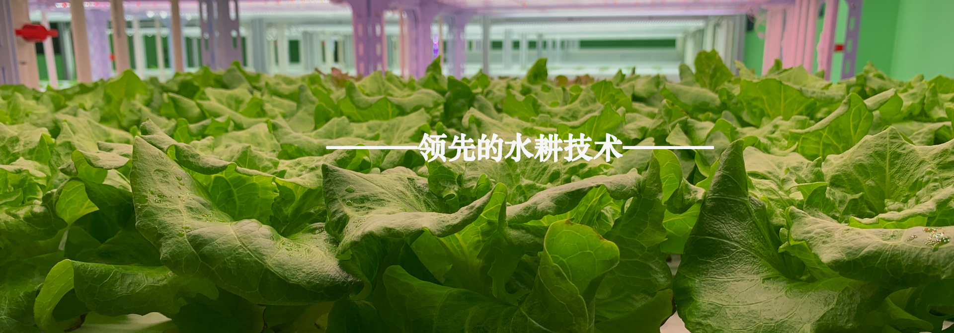 &#38134;&#27827;&#28216;&#25103;&#24179;&#21488;&#97;&#112;&#112;&#40;&#23448;&#26041;&#32593;&#31449;&#41;&#32;&#45;&#32;&#65;&#80;&#80;&#19979;&#36733;&#73;&#79;&#83;&#47;&#23433;&#21331;&#47;&#20840;&#31449;&#36890;&#29992;&#29256;
